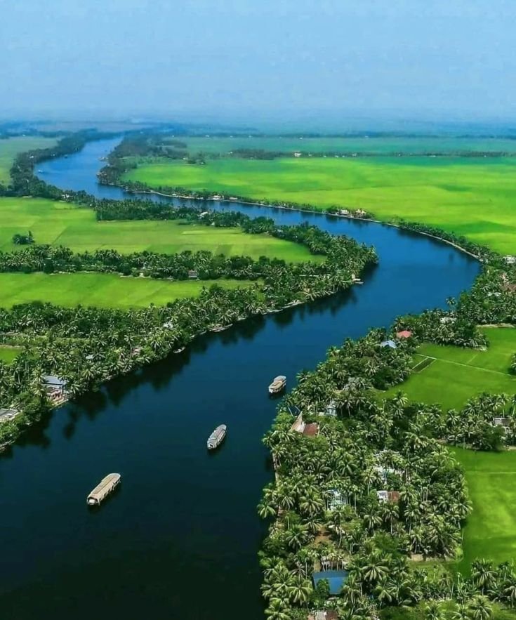 Kerala backwaters surrounded by palm trees