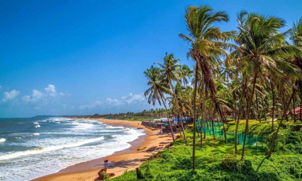 Travel Packages in India